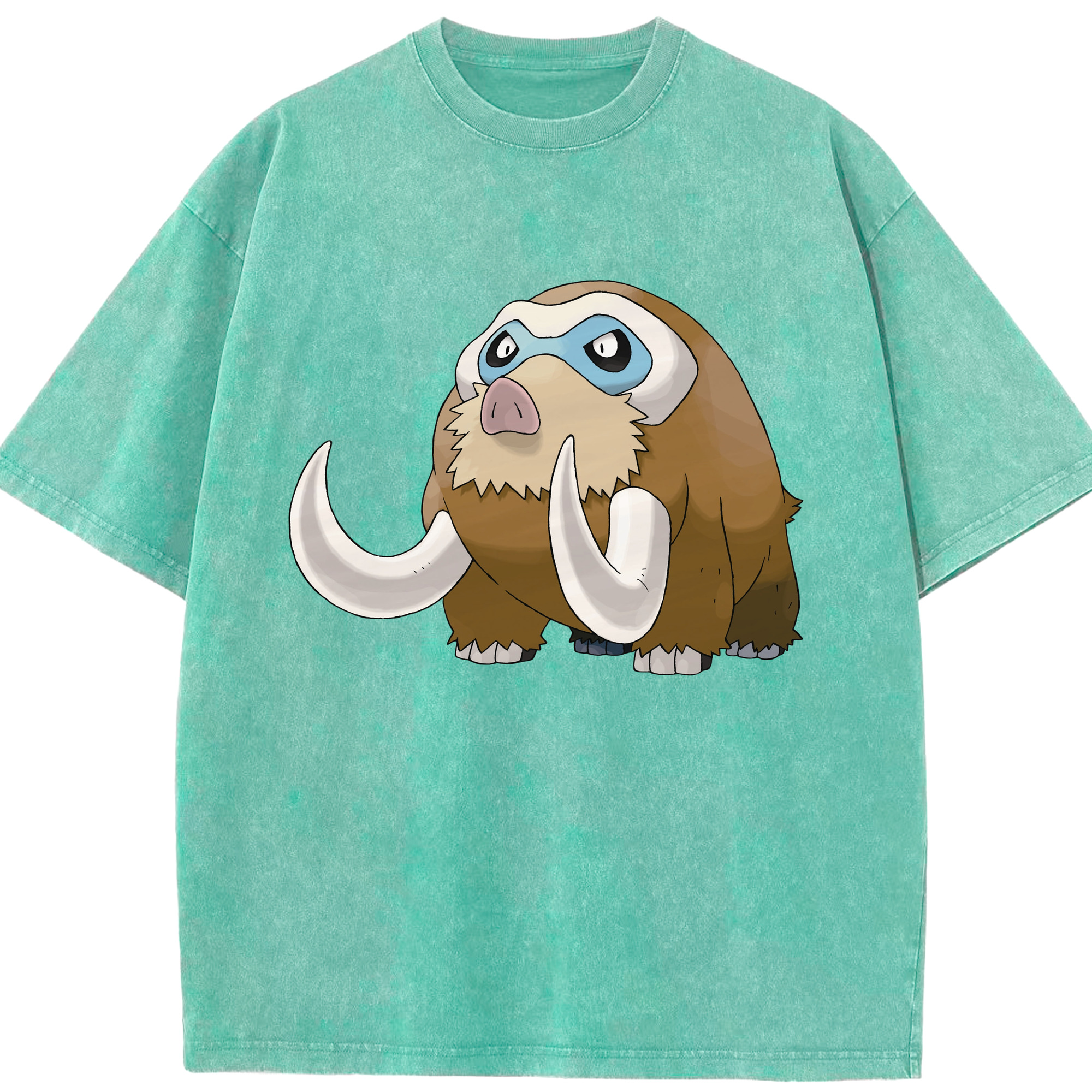 （画像用） ポケットモンスター Pokémon 綿100% ヴィンテージ風 半袖Tシャツ（フロントプリント）